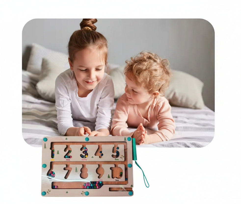 Wooden Magnetic Maze Toy | Color Sorting Montessori Toy (3Y+) - Toyspry